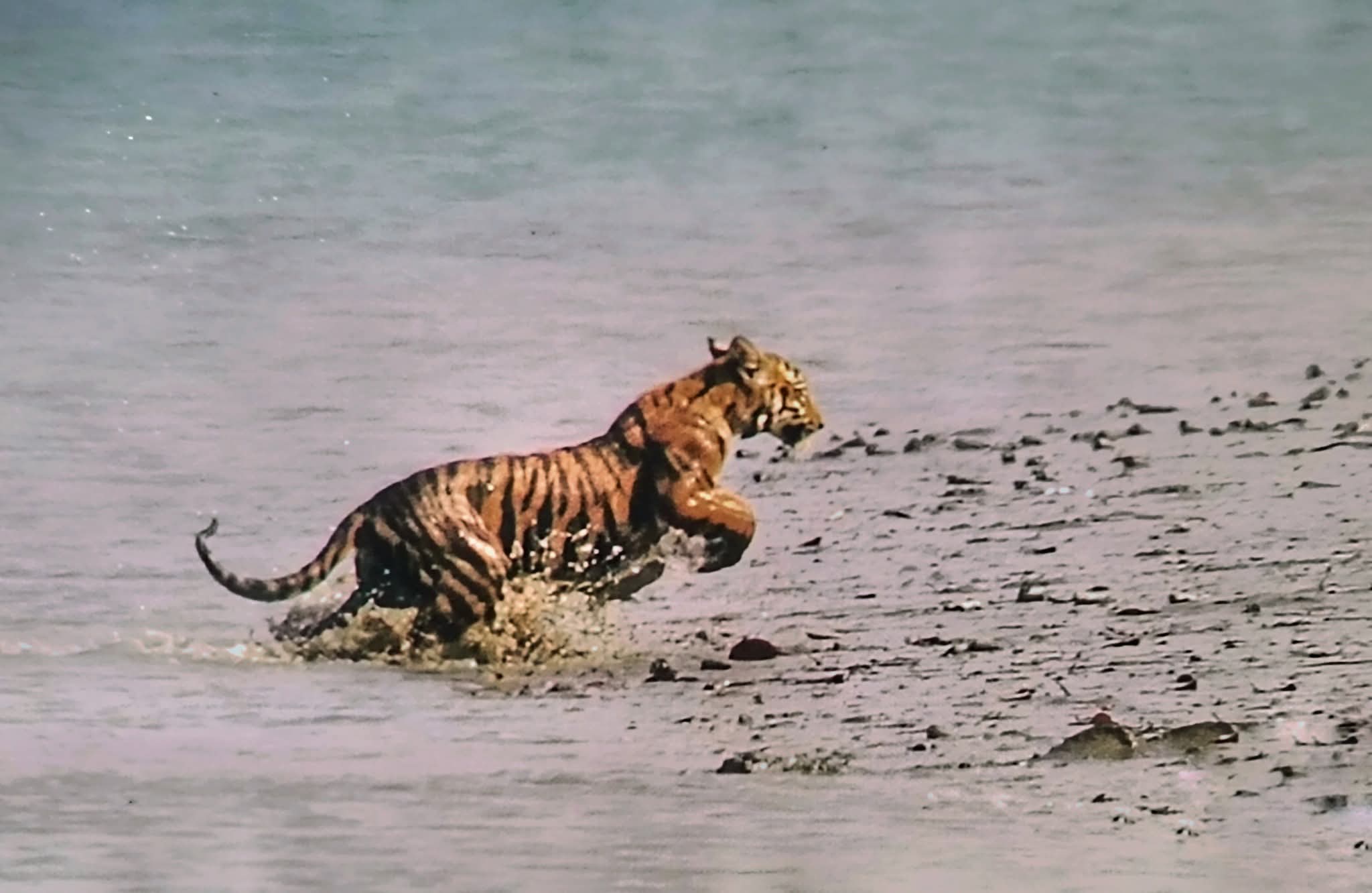 images/WhatsApp Image 2025-12-02 at 7.40.07 PM.jpeg